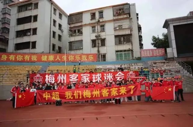 cctv10频道在线直播观看