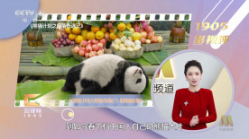 国产一级淫片a免费播放口